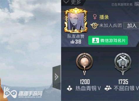 探索和平精英辅助对游戏公平性的挑战